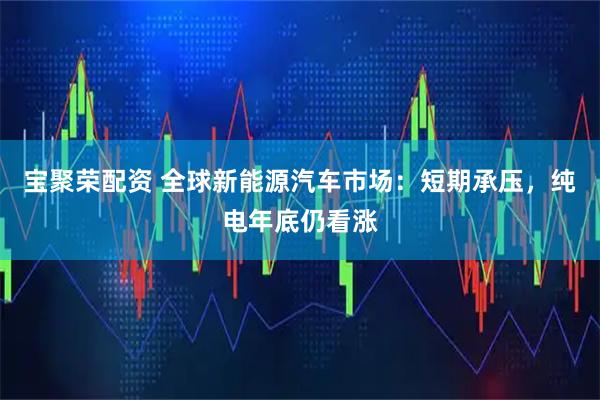 宝聚荣配资 全球新能源汽车市场：短期承压，纯电年底仍看涨