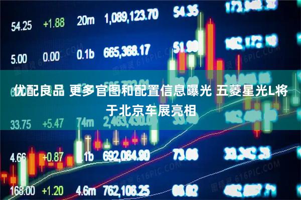 优配良品 更多官图和配置信息曝光 五菱星光L将于北京车展亮相