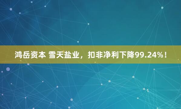 鸿岳资本 雪天盐业,扣非净利下降99.24%!