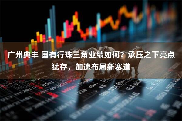 广州典丰 国有行珠三角业绩如何？承压之下亮点犹存，加速布局新赛道