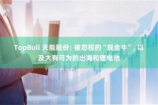 TopBull 天能股份: 被忽视的“现金牛”, 以及大有可为的出海和锂电池