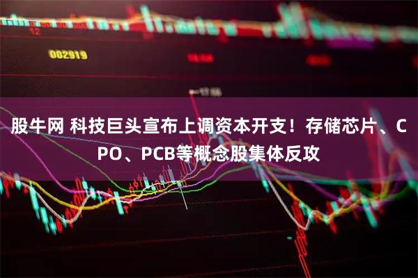 股牛网 科技巨头宣布上调资本开支！存储芯片、CPO、PCB等概念股集体反攻