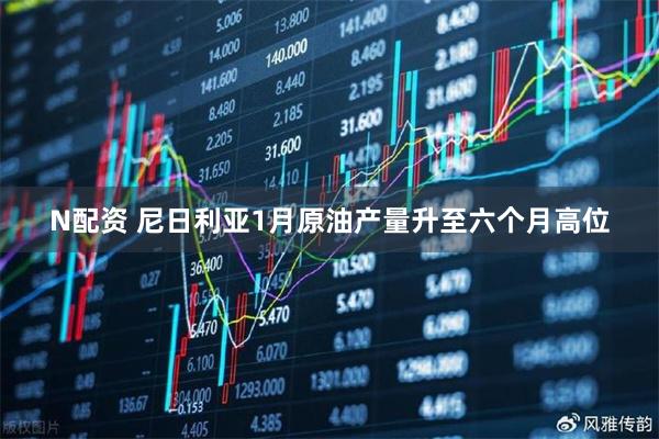 N配资 尼日利亚1月原油产量升至六个月高位