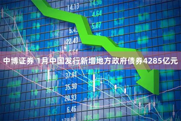 中博证券 1月中国发行新增地方政府债券4285亿元