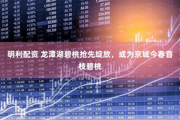 明利配资 龙潭湖碧桃抢先绽放，或为京城今春首枝碧桃