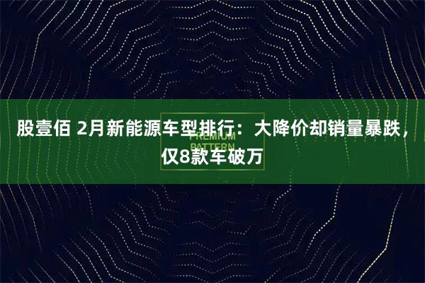 股壹佰 2月新能源车型排行：大降价却销量暴跌，仅8款车破万