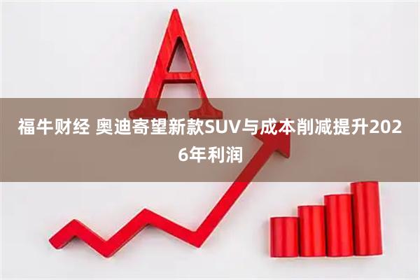 福牛财经 奥迪寄望新款SUV与成本削减提升2026年利润