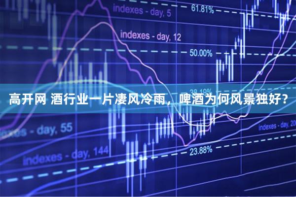 高开网 酒行业一片凄风冷雨，啤酒为何风景独好？