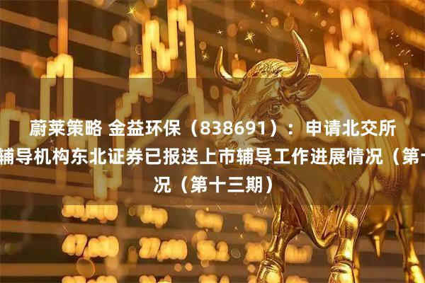 蔚莱策略 金益环保（838691）：申请北交所上市，辅导机构东北证券已报送上市辅导工作进展情况（第十三期）