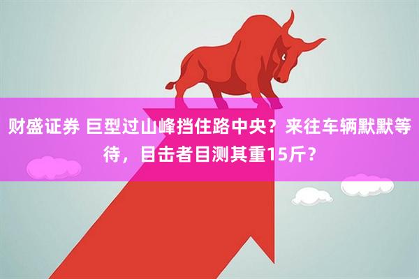 财盛证券 巨型过山峰挡住路中央？来往车辆默默等待，目击者目测其重15斤？