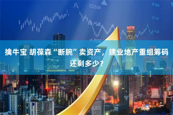 擒牛宝 胡葆森“断腕”卖资产，建业地产重组筹码还剩多少？