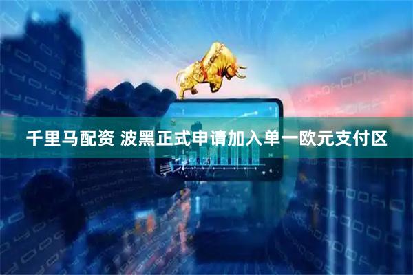 千里马配资 波黑正式申请加入单一欧元支付区