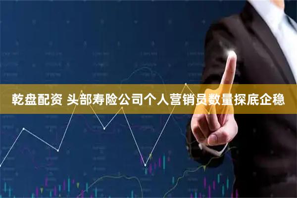 乾盘配资 头部寿险公司个人营销员数量探底企稳